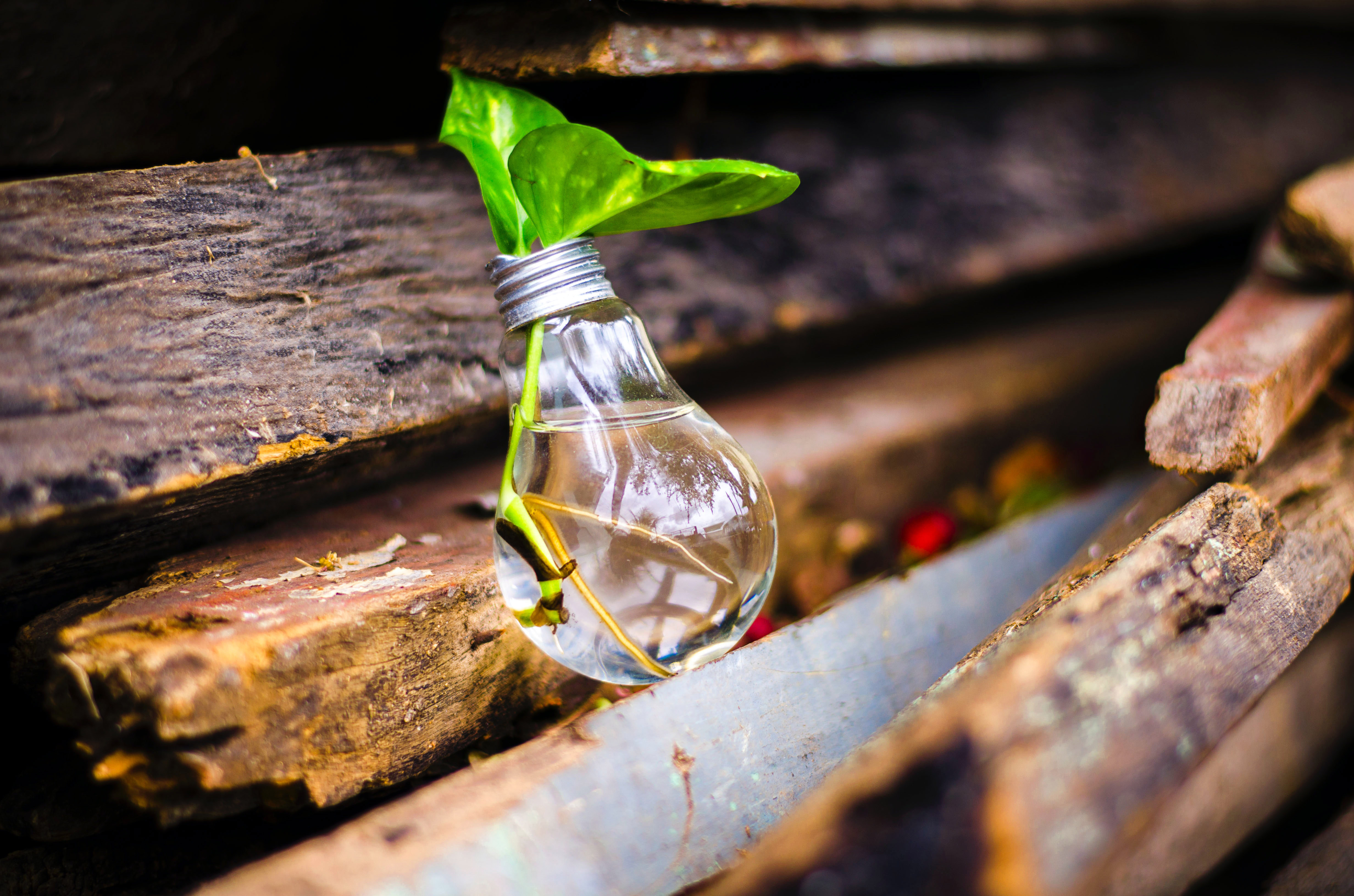 Overcoming Obstacles to Innovation and Change and How to Respond