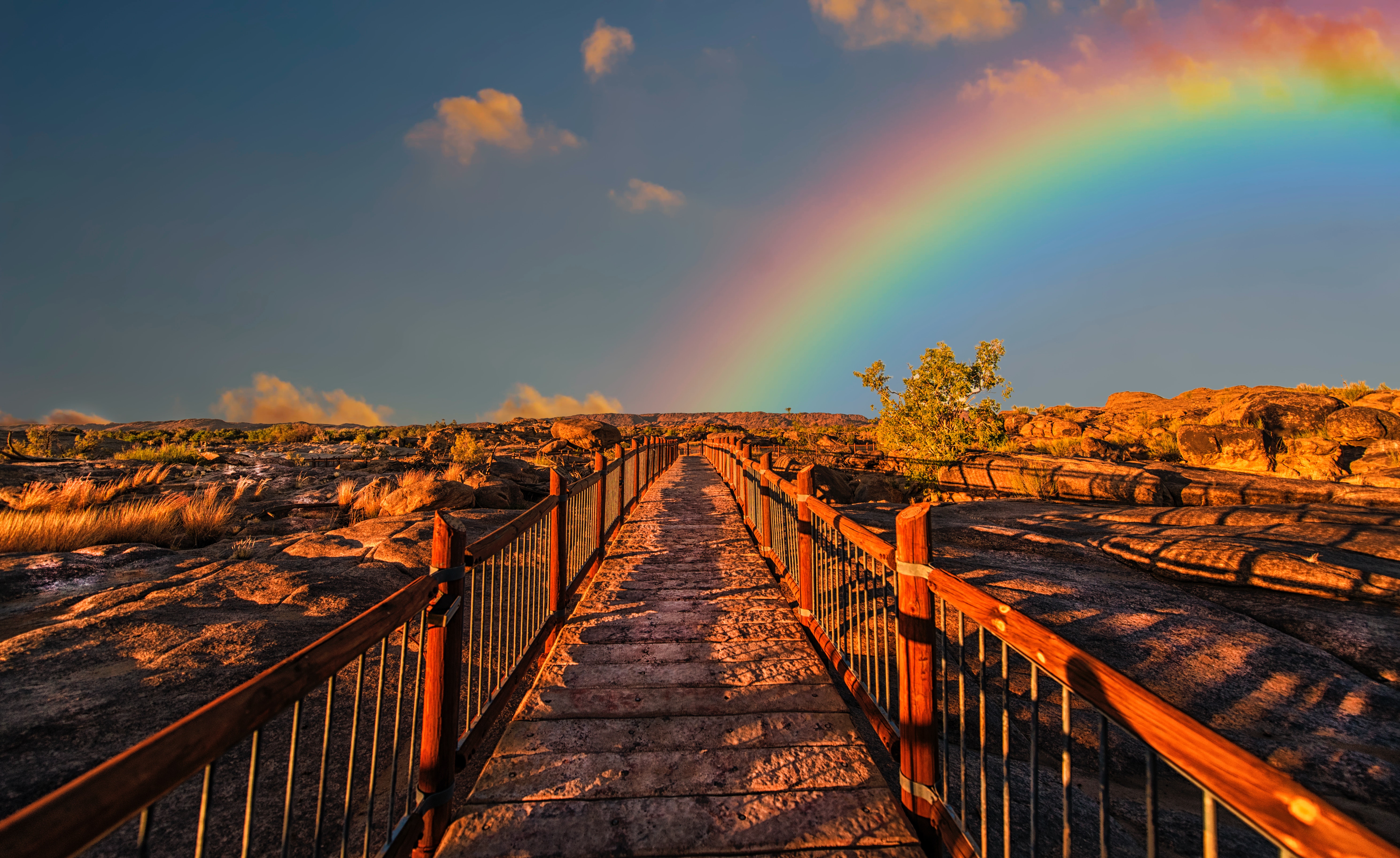 The Path Towards Academic Program Profitability